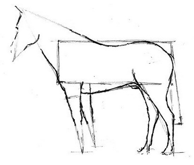 Конструктивная форма головы и ног лошади