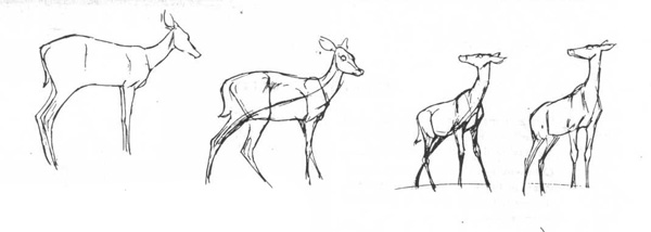 Рисование животных. Положение ног.