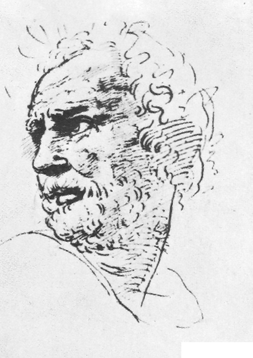 Рафаэль Санти. Рисунок мужской головы из листа этюдов к фреске «Парнас»