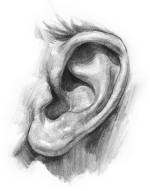Завершающая стадия рисунка уха