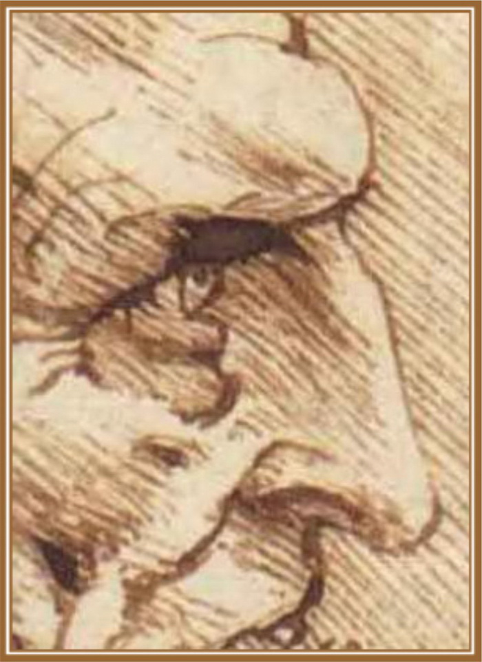 Фрагмент рисунка Леонардо да Винчи